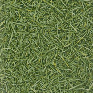 Линолеум IVC Vision Grass T25 фото ##numphoto## | FLOORDEALER